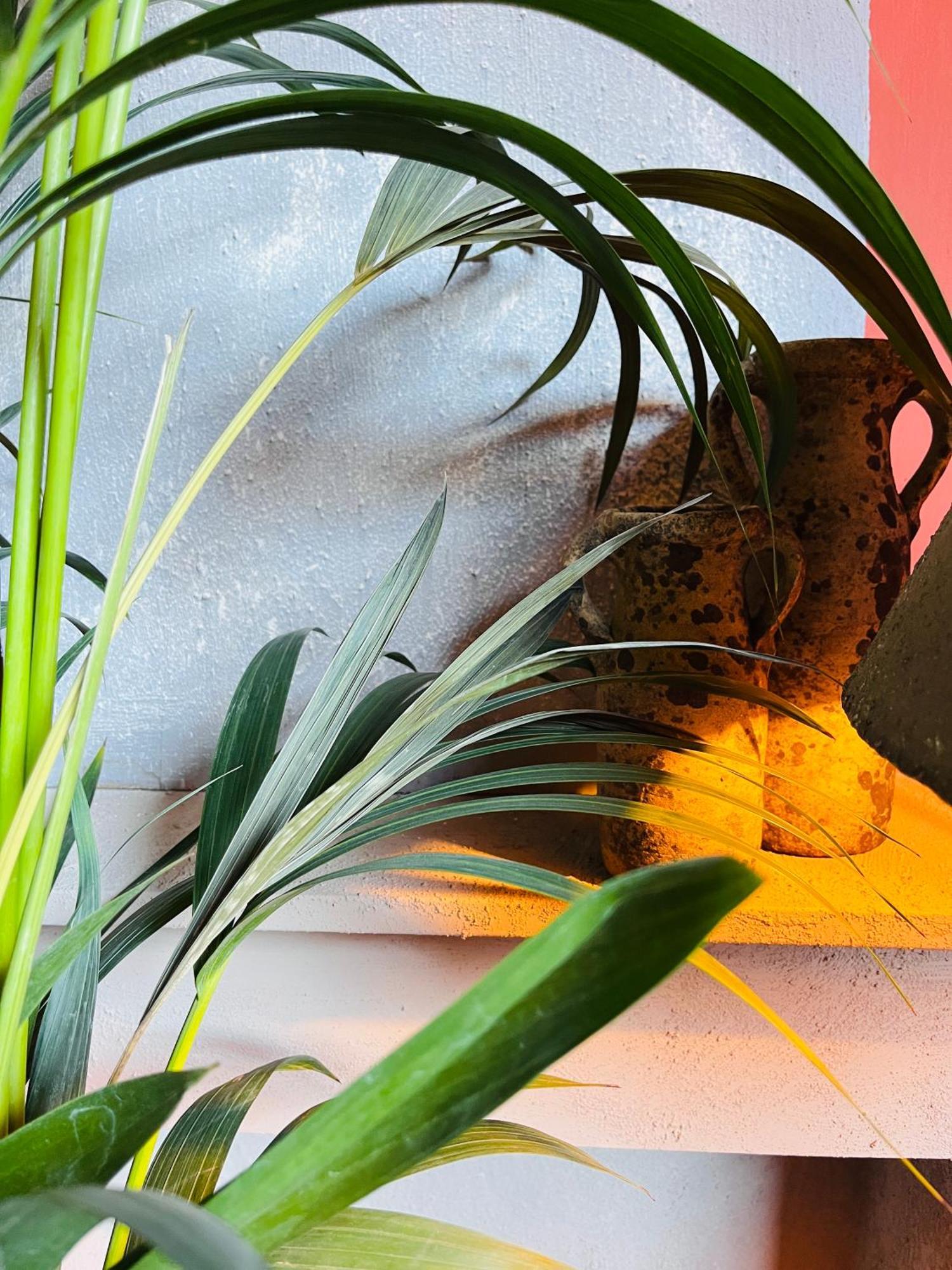 Guesthouse Nights By Morpheus Antverpy Exteriér fotografie